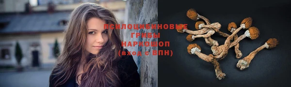 ГАЛЛЮЦИНОГЕННЫЕ ГРИБЫ Верхнеуральск