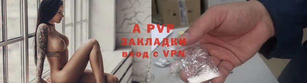 PSILOCYBIN Волосово