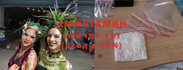 мдпв Володарск