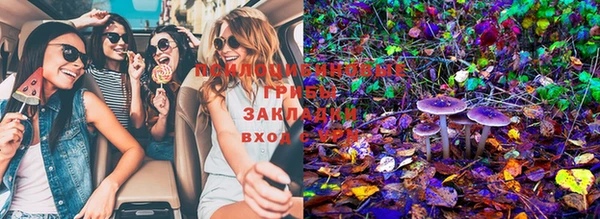 spice Волоколамск